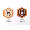 Écussons Badges et Brevets - Sécurité