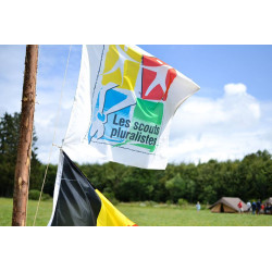 Drapeau "Scout pluraliste"