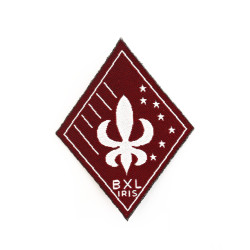 Ecusson Bruxelles (Iris)