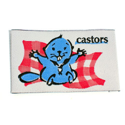 Insigne - branche castor