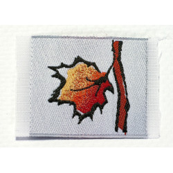 Insigne - Feuille castor