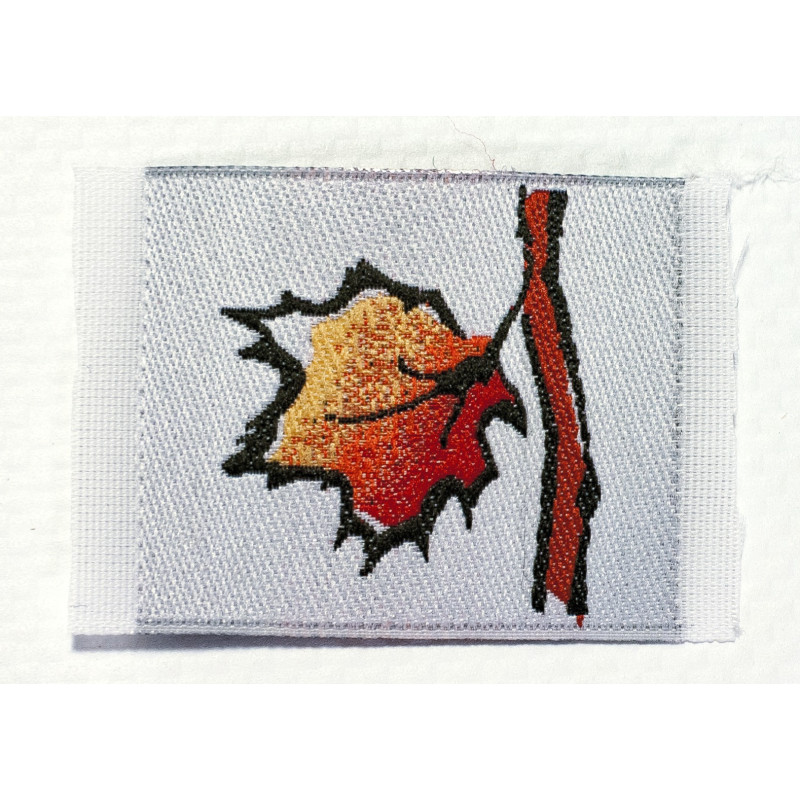 Insigne - Feuille castor