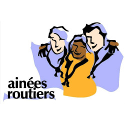 Insigne - Branche routiers