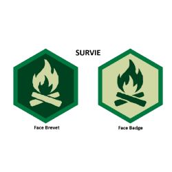 Écussons Badges et Brevets - Survie