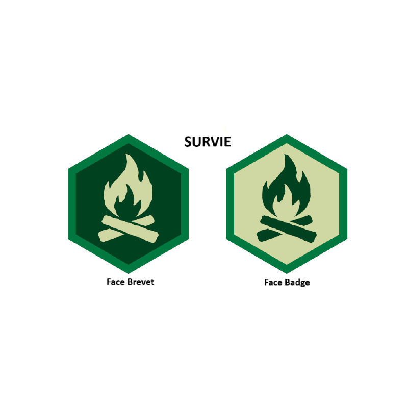 Écussons Badges et Brevets - Survie