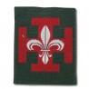 Insigne Fleur de lys - Vert